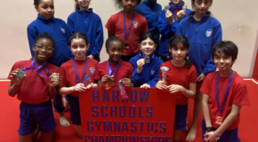 Harrow Schools’ Gymnastics Competition